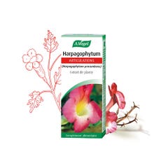 A.Vogel France Extracto de planta fresca de Harpagophytum 50 ml