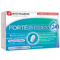 Forté Pharma Forte Stress 24h 15 Comprimidos