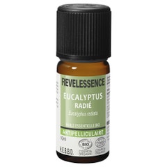 Revelessence Aceite esencial de Eucalipto Radié BIO 10 ml