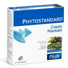 Pileje Phytostandard Phytostandard Casis y Llantén 30 comprimidos