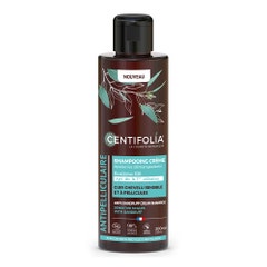 Centifolia Anticaspa Champú en crema bio cuero cabelludo sensible 200 ml