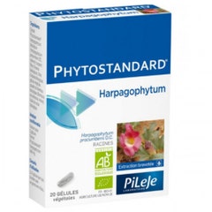 Pileje Phytostandard Phytostandard Harpagophytum 60 comprimidos