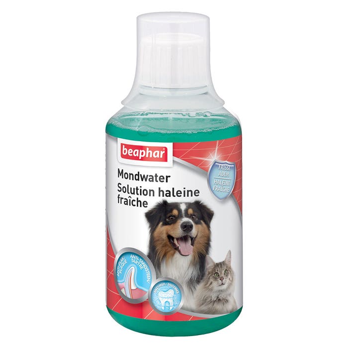 Solución Fresh Breath para perros y gatos 151 ml Beaphar