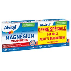 Alvityl Magnesio Vitamina B6 2x 45 comprimidos