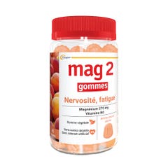 Mag 2 Magnesio + Vitamina B6 x45 gominolas