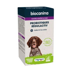 Biocanina Gastroenterología Probióticos ecológicos Regulactiv Reafirma las heces de los perros grandes 123g