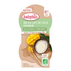 Babybio Arroz con leche de coco y mango a partir de 8 meses 225g