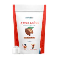 NUTRI&CO Colágeno Marino Patentado Tipos 1 y 2 en Polvo Piel Firme Sabor Cacao 240g