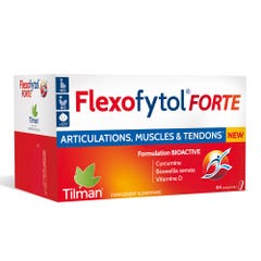 Tilman Flexofytol Forte 84 comprimidos