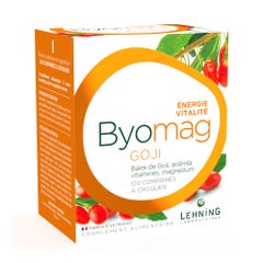 Lehning Byomag Goji 120 Comprimidos x120 Comprimidos