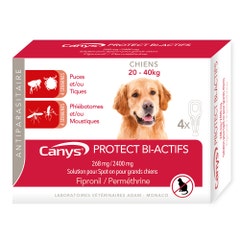 Canys Protec Actifa 268 mg/2400 mg solución inyectable para perros (20-40 kg) 4x4.40ml