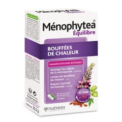Ménophytea Sofocos 20 cápsulas de día + 20 cápsulas de noche