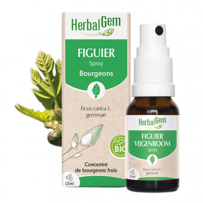 Herbalgem Bourgeons Espray de higuera Bio 15 ml
