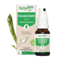 Herbalgem Bourgeons Spray de frambuesa Bio 15 ml