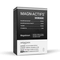 Synactifs Magnactifs 60 Capsulas Magnésium 60 Gelules
