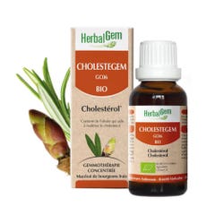 Herbalgem Bourgeons Colesterol orgánico Cholestegem 30 ml