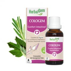 Herbalgem Complexes De Gemmotherapie Confort intestinal Cologem 30 ml