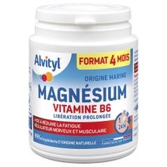 Alvityl Magnesio Vitamina B6 120 comprimidos