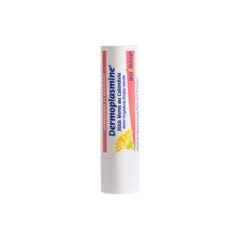 Boiron Dermoplasmine Barra de labios Hidratante y calmante 4g