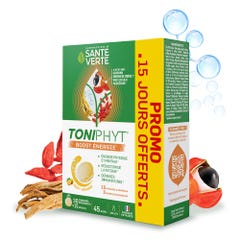 Sante Verte Toniphyt Boost Sabor a naranja 30+15 comprimidos efervescentes