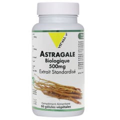 Vit'All+ + Astragalo 60 Capsulas 500mg 500 mg