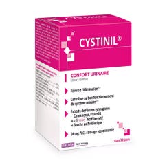 Ineldea Santé Naturelle Cystinil Confort Urinario 90 Capsulas