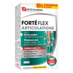 Forté Pharma Forté Flex Articulaciones 30 cápsulas