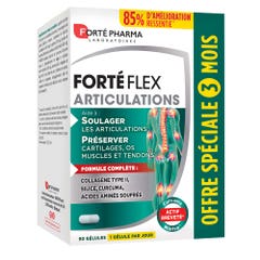 Forté Pharma Forté Flex Articulaciones 90 cápsulas