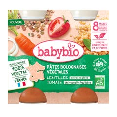 Babybio 100% vegetal Plat Complet Bio Dès 8 Mois Premiers Morceaux Fondants 2x200g