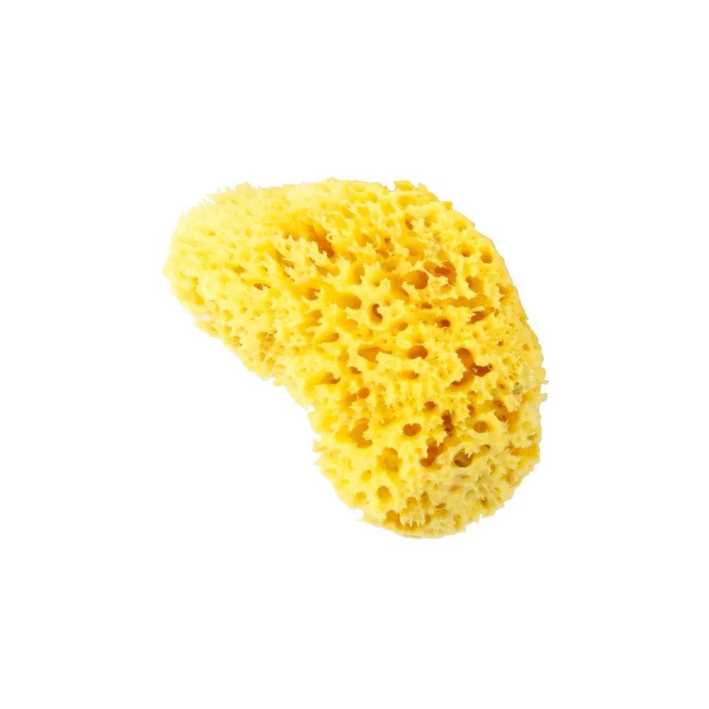 Estipharm Esponja natural ultra suave x1