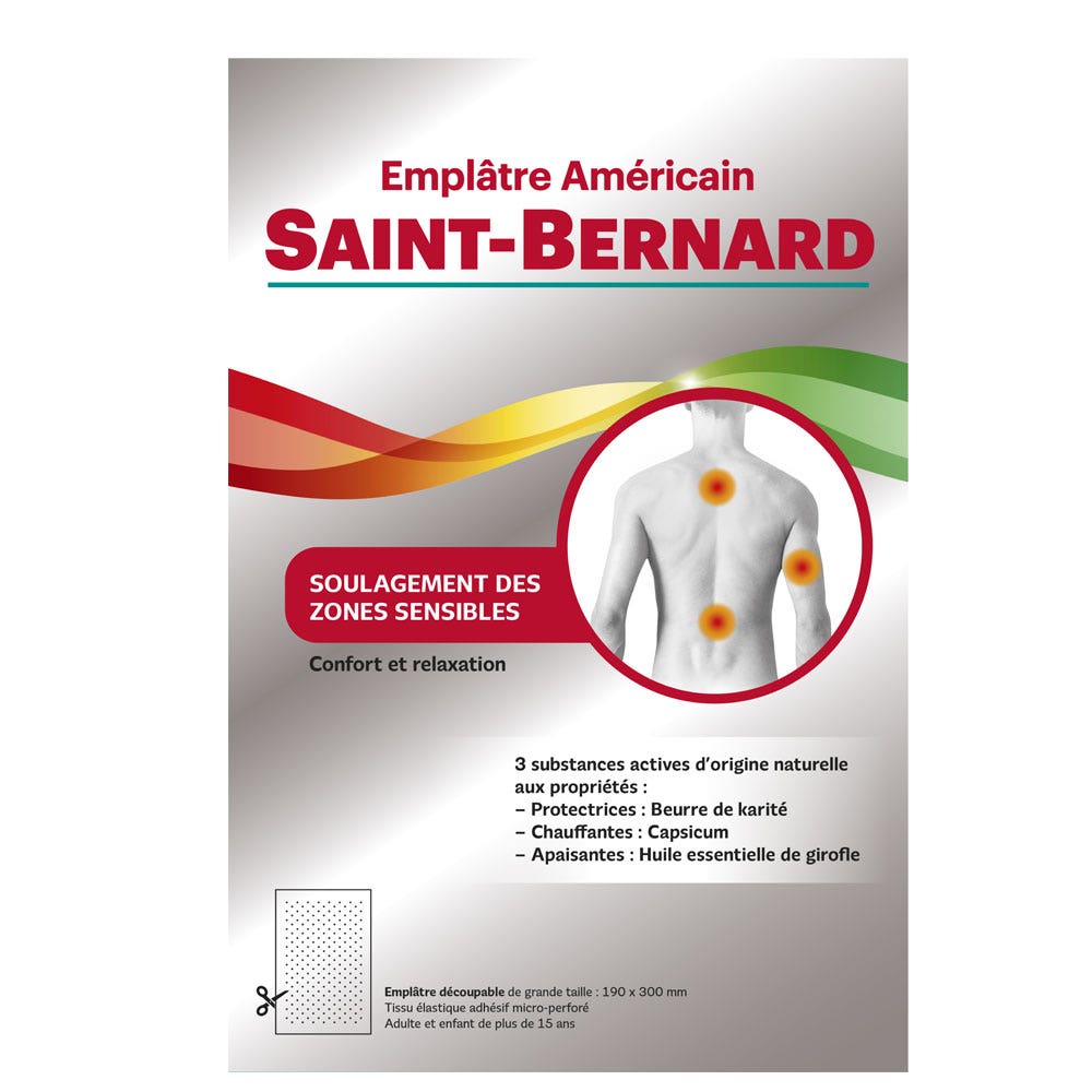 Saint-Bernard Yeso americano x1