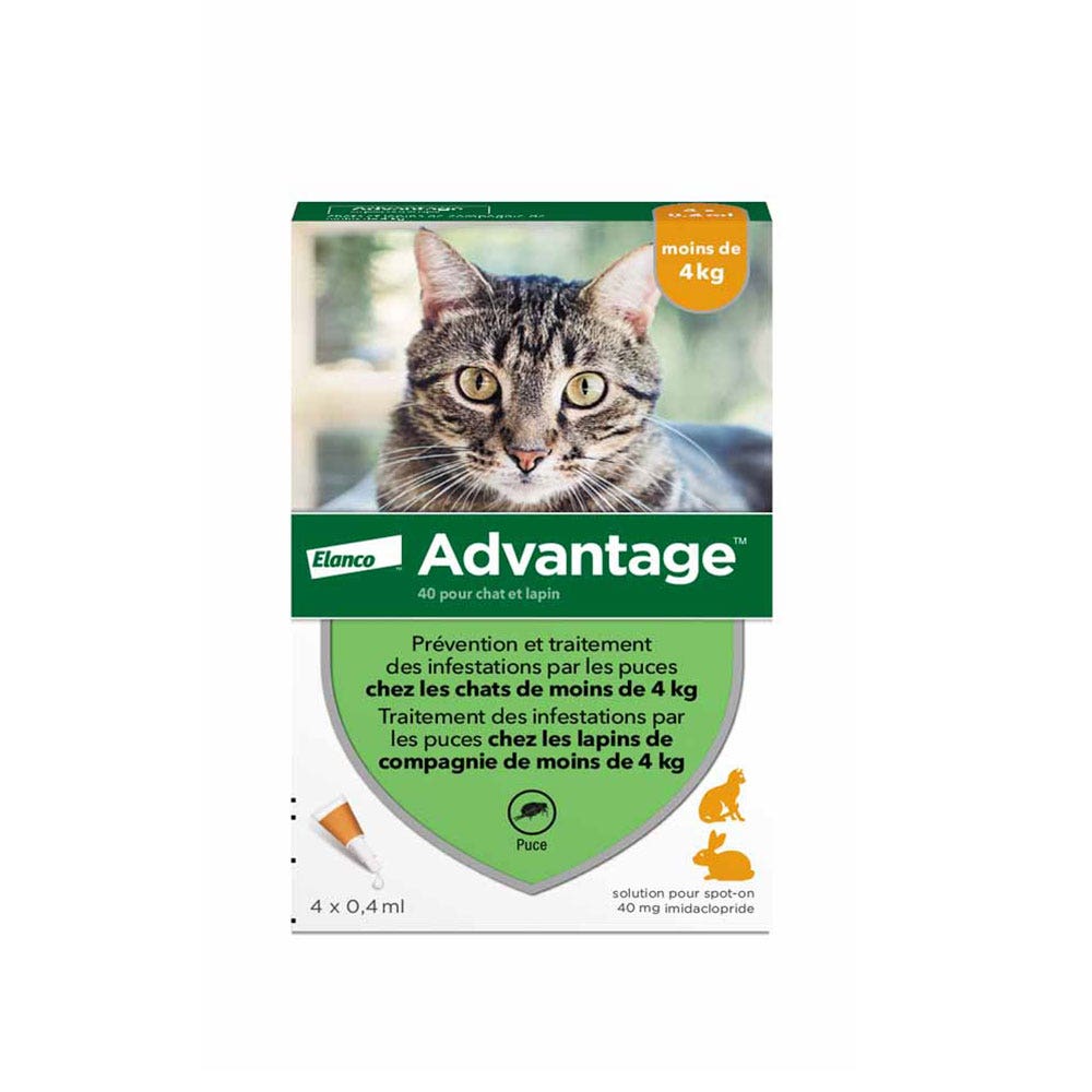 Advantage 40 Spot On gatos conejos de menos de 4kg x4