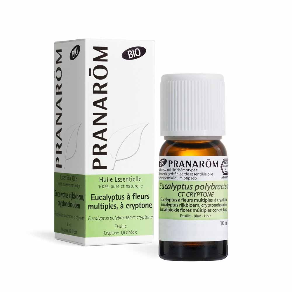 Pranarôm Aceites Esenciales Eucalipto de flores múltiples a criptona hoja bio 10 ml