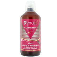 Dynasil Silicio Organico Plus 1 Litro