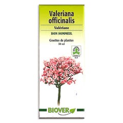 Biover D. Plantes Valeriana Officinalis Valeriane Bon Sommeil 50 ml