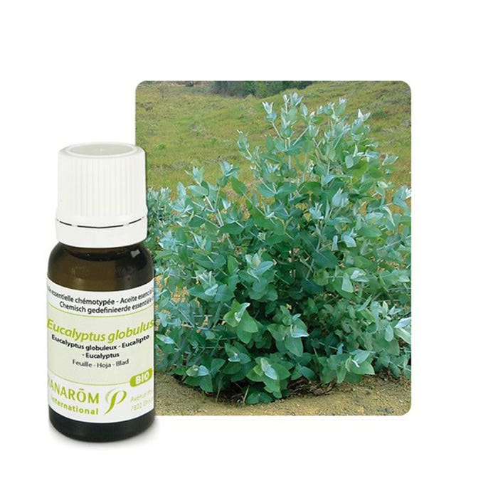 Aceite Esencial Bio Eucalyptus Globuleux 10 ml Les Huiles Essentielles Pranarôm