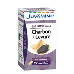 Juvamine Carbon + Levadura 45 Capsulas