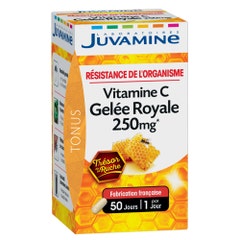 Juvamine Jalea Real + Vitamina C 50 Cápsulas
