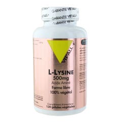 Vit'All+ L-lisina 500 mg 120 cápsulas