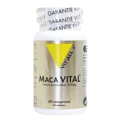 Vit'All+ + Maca 60 Comprimidos 300 mg