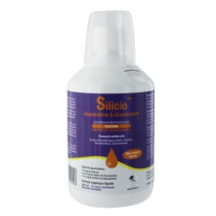 Phytoresearch Silicio Condroitina y Glucosamina 500 ml