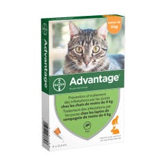 Advantage 40 Solución Spot On Gatos Conejos de Menos de 4kg x4
