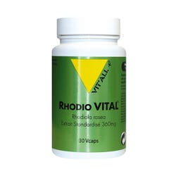 Vit'All+ Rhodio Vital Extracto Estandarizado de Rhodiola Rosa 360mg 30 cápsulas