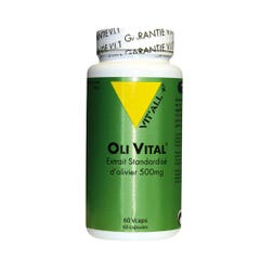 Vit'All+ Oli Vital 60 Capsulas Extracto Estandarizado De Olivo + 500mg