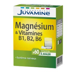 Juvamine Magnesio y vitaminas B6 B2 B1 60 comprimidos