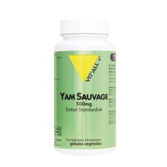 Vit'All+ Yam Sauvage 30 comprimidos