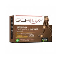 Sante Verte Gcaflex+ Funcionamiento del Cartílago Fonctionnement du cartilage 30 Cápsulas
