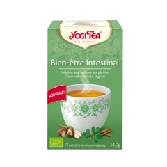 Yogi Tea Bienestar intestinal 17 Bolsitas de Infusión Ayurveda BIO