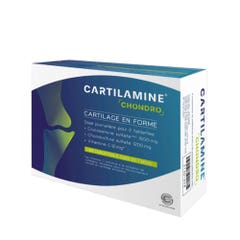 Effi Science Cartilamina Condro Cartílago en forma 60 estantes