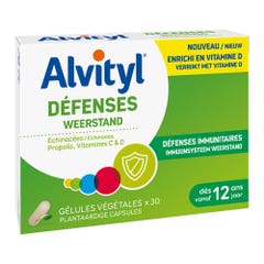 Alvityl Defensas 30 Comprimidos